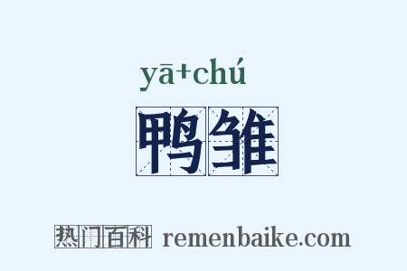 鸭雏是什么意思的图片